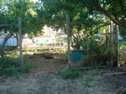 DSC01291.JPG