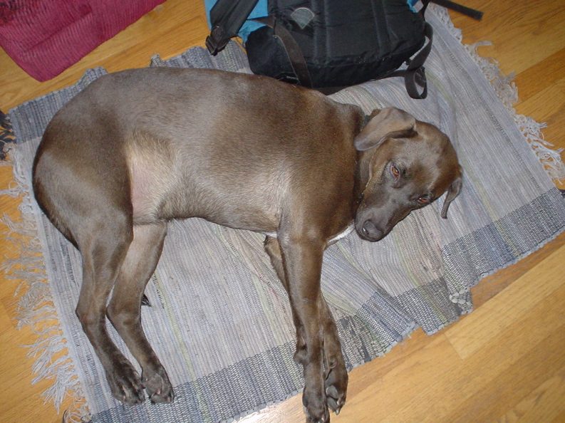 DSC03350.JPG