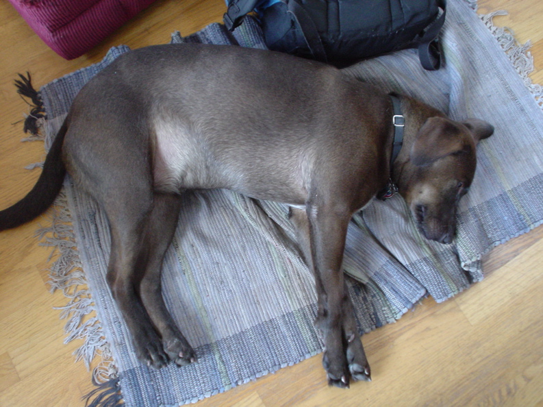 DSC03353.JPG