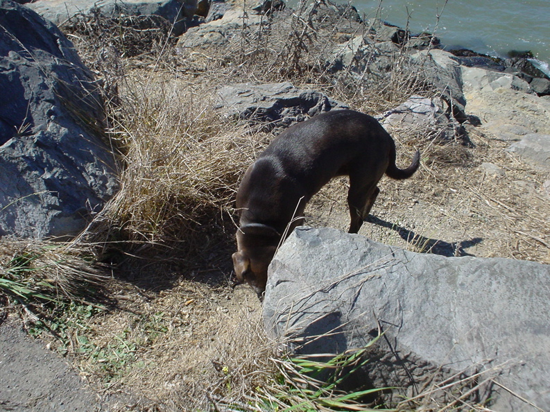 DSC03402.JPG