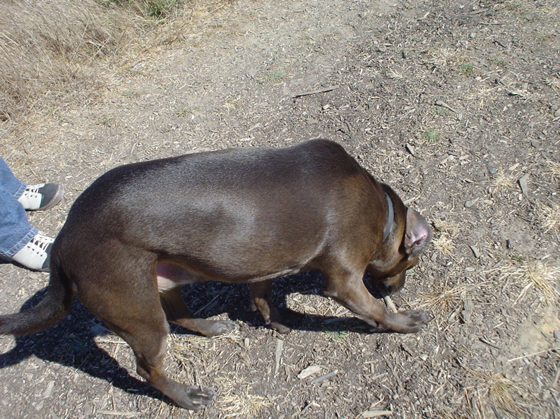 DSC03404.JPG