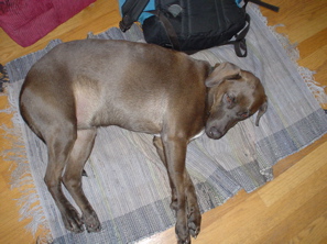 DSC03350.JPG