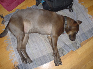 DSC03351.JPG