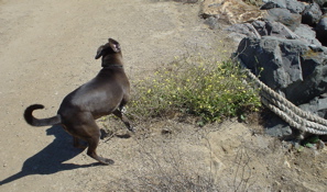 DSC03396.JPG