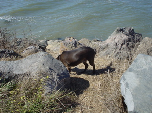 DSC03401.JPG