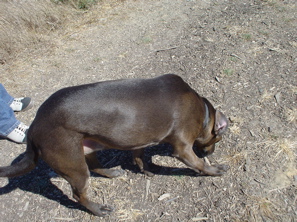 DSC03404.JPG