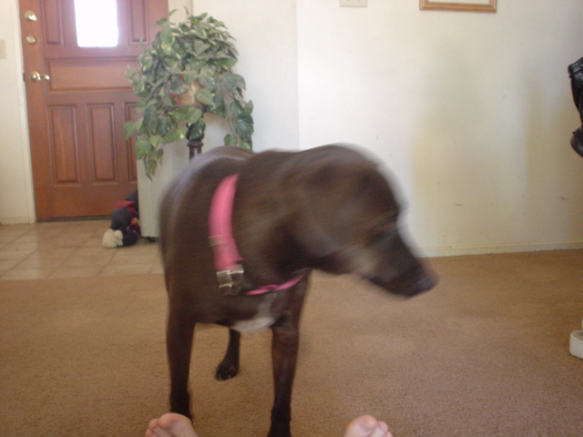 DSC04953.JPG