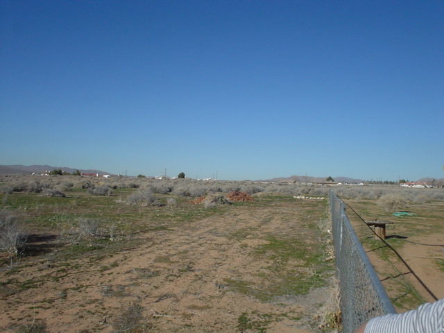 DSC02356.JPG