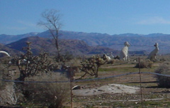 DSC02312.JPG