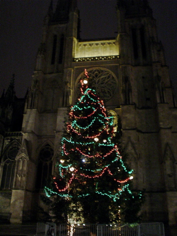 DSC03830.JPG