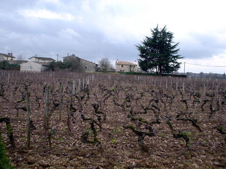 DSC03845.JPG