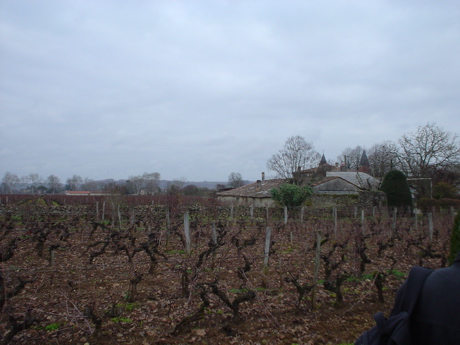 DSC03846.JPG