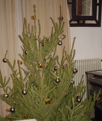 DSC03890.JPG