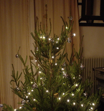 DSC03895.JPG