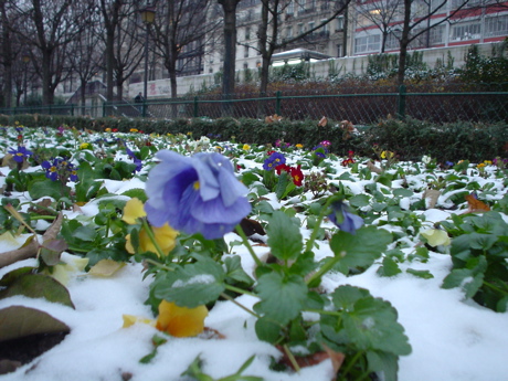 DSC03945.JPG