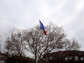 DSC03847.JPG