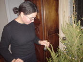DSC03889.JPG