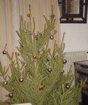 DSC03890.JPG