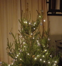 DSC03895.JPG