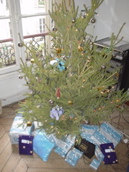 DSC03919.JPG