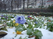 DSC03945.JPG