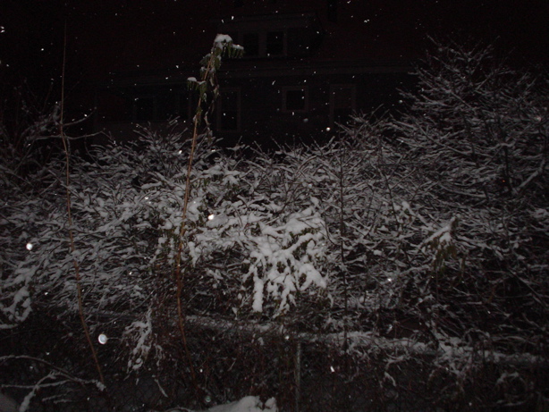 DSC02617.JPG