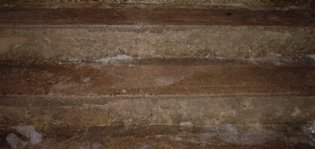 DSC02647.JPG
