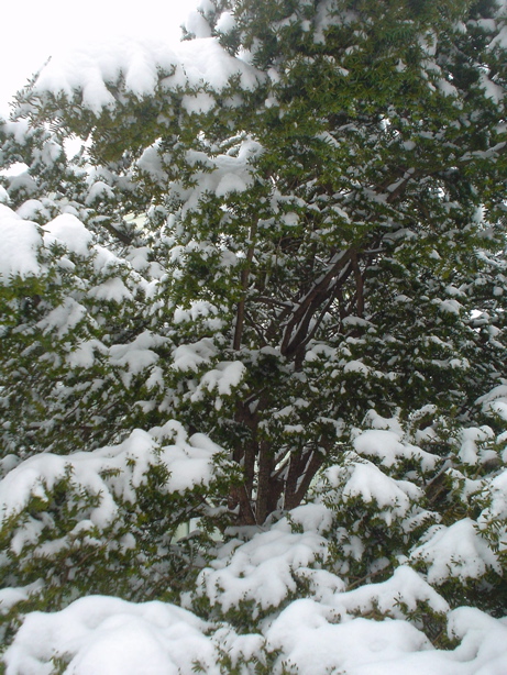 DSC02679.JPG