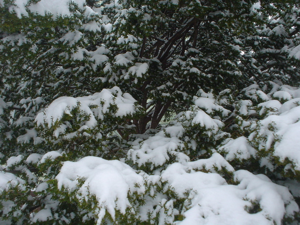 DSC02680.JPG
