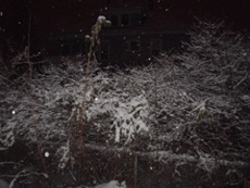 DSC02617.JPG
