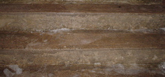 DSC02647.JPG