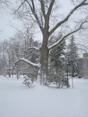 DSC02678.JPG