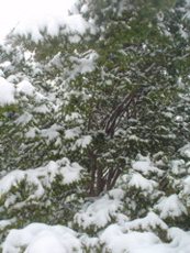 DSC02679.JPG