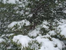 DSC02680.JPG
