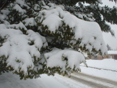 DSC02681.JPG