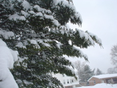 DSC02682.JPG