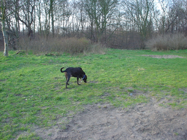 DSC04057.JPG