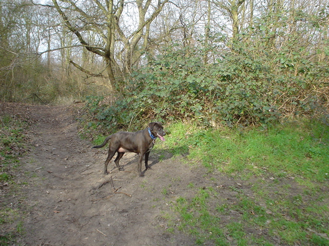 DSC05679.JPG