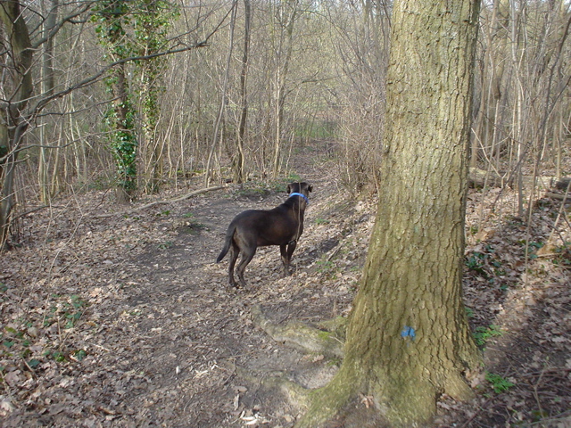 DSC05682.JPG
