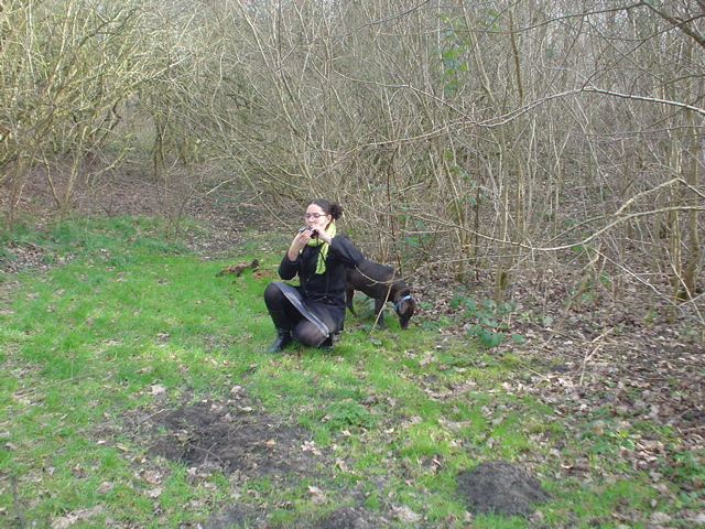 DSC05684.JPG