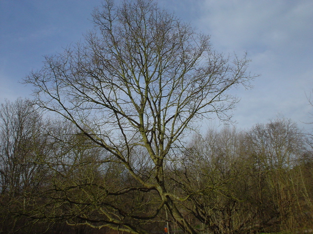 DSC05686.JPG