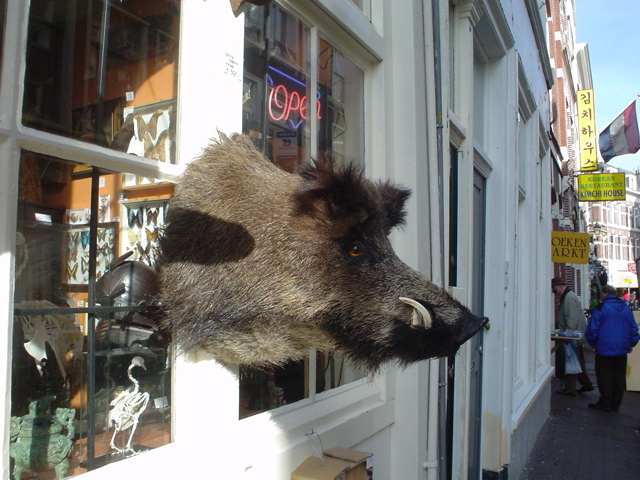 DSC05722.JPG