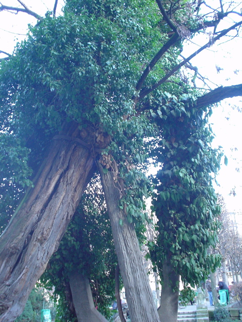 DSC04014.JPG