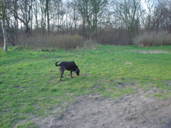 DSC04057.JPG