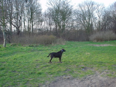 DSC04058.JPG