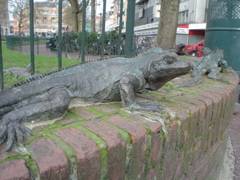DSC05652.JPG