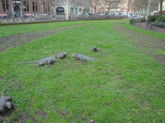 DSC05653.JPG
