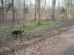 DSC05676.JPG