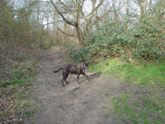 DSC05678.JPG