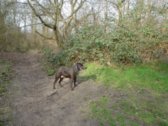 DSC05679.JPG